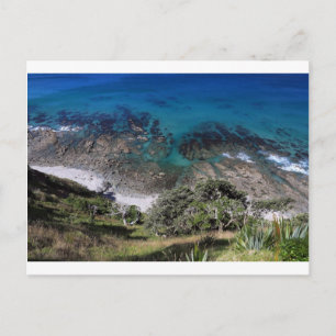 Paradise New Zealand coast Mangawhai Heads Postcard