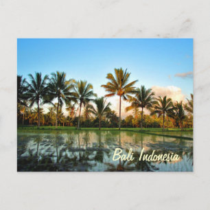 Paradise Photo Tropical Palm Trees Bali Indonesia Postcard
