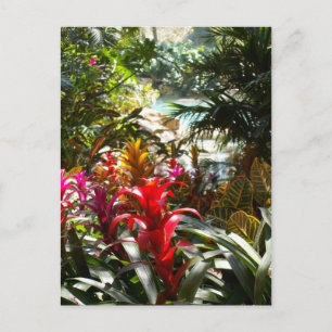 Paradise Postcard