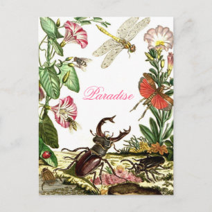 Paradise Postcard