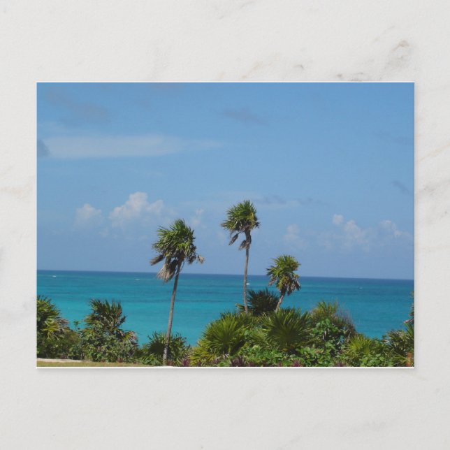 paradise postcard (Front)