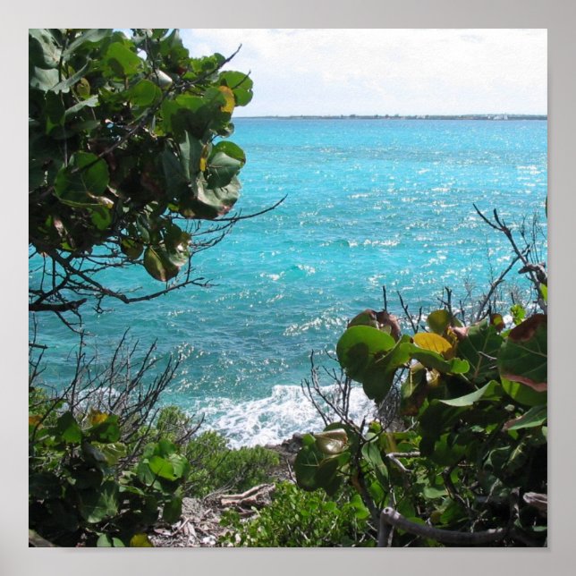 Paradise Poster (Front)