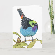 Paradise Tanager | Colourful Tropical Bird Greetin
