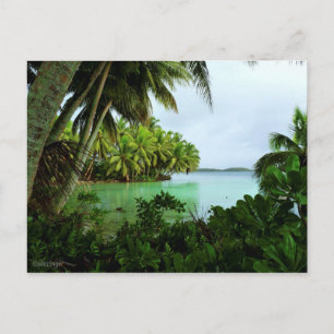 Paradise Turquoise Waters and Palm Trees Postcard