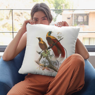 Paradisea sanguinea (1873)  throw pillow