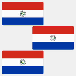 Paraguay Flag