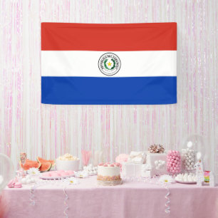 Paraguay flag banner