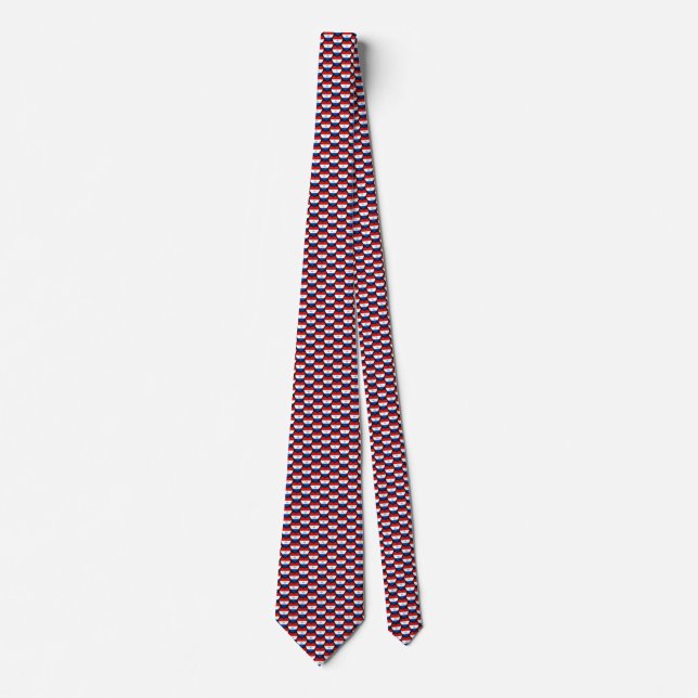 Paraguay Flag Hearts Tie (Front)
