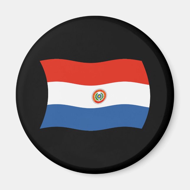 Paraguay Flag Magnet (Front)