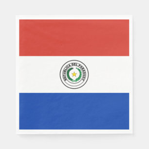 Paraguay Flag Napkin