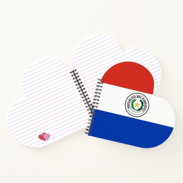 Paraguay flag notebook (Inside)