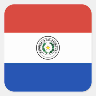 Paraguay National World Flag Square Sticker