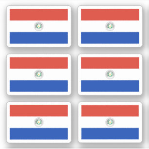 Paraguayan flag