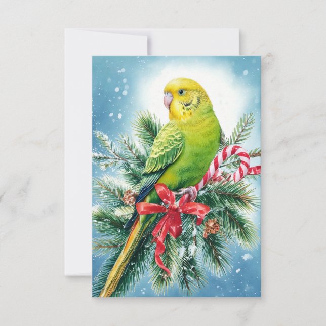 Parakeet and Candy Cane Christmas Card (Front)