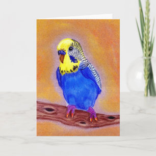 Parakeet Bird Blank Greeting Card