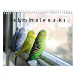 Parakeet calendar