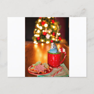 Parakeet Christmas Postcard
