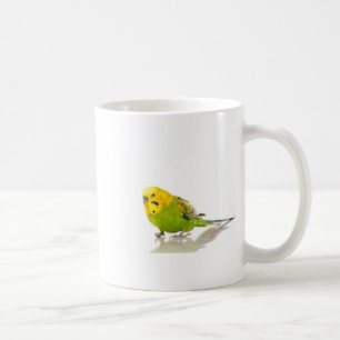 parakeet, coffee mug