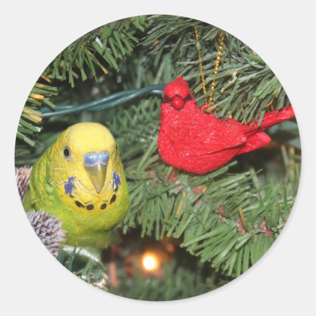 Parakeet in a Christmas tree Classic Round Sticker (Front)
