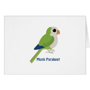 Parakeet moine mignonne