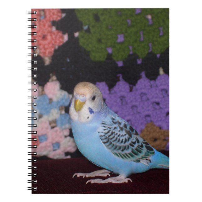 Parakeet Notebook (Front)