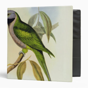 Parakeet: Palaeornis Derbianus, c.1850 Binder