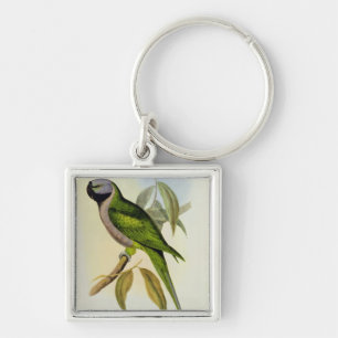 Parakeet: Palaeornis Derbianus, c.1850 Keychain