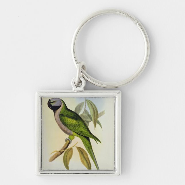 Parakeet: Palaeornis Derbianus, c.1850 Keychain (Front)
