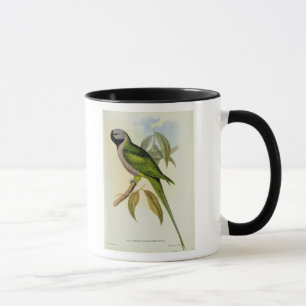 Parakeet: Palaeornis Derbianus, c.1850 Mug