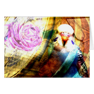 Parakeet rose collage - Card