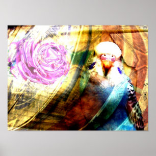 Parakeet rose collage- Print