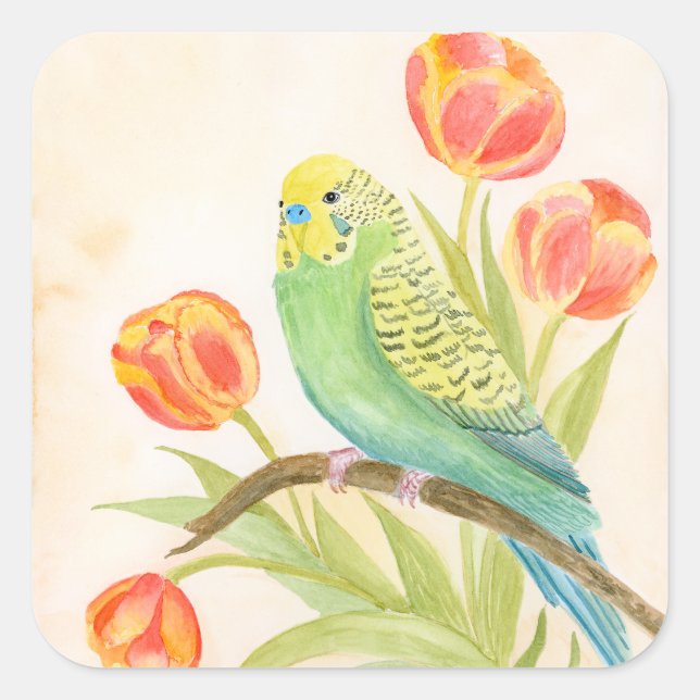 Parakeet with Tulips  Square Sticker (Front)