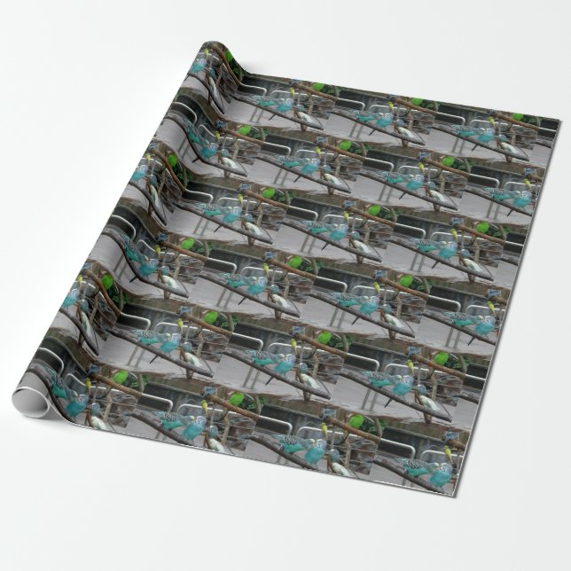Parakeet Wrapping Paper (Unrolled)