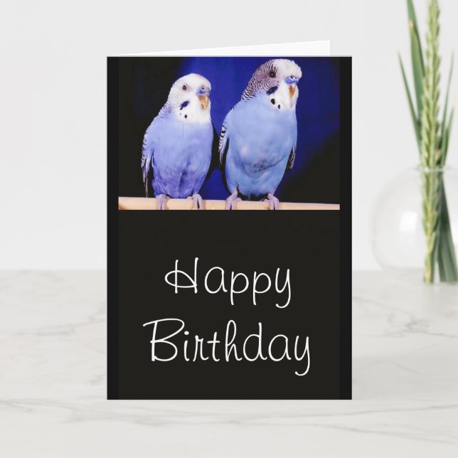 Parakeets (Budgies) Bonne carte de voeux d'anniver (Devant)
