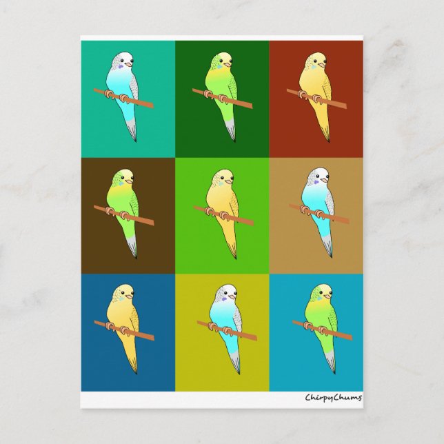 Parakeets in Earth toned Squares Postcard (Front)