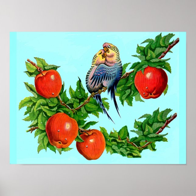 parakeets in love poster (Front)