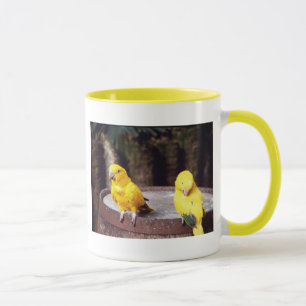 parakeets mug