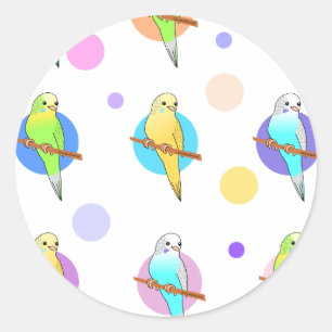 Parakeets & Polka Dots Pattern Classic Round Sticker