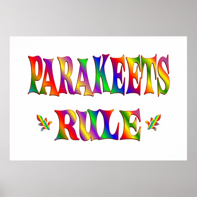 PARAKEETS RULE POSTER (Front)