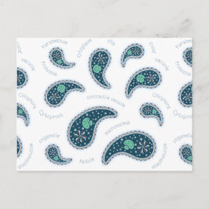 Paramecia Paisley Customizable Biology Custom Postcard