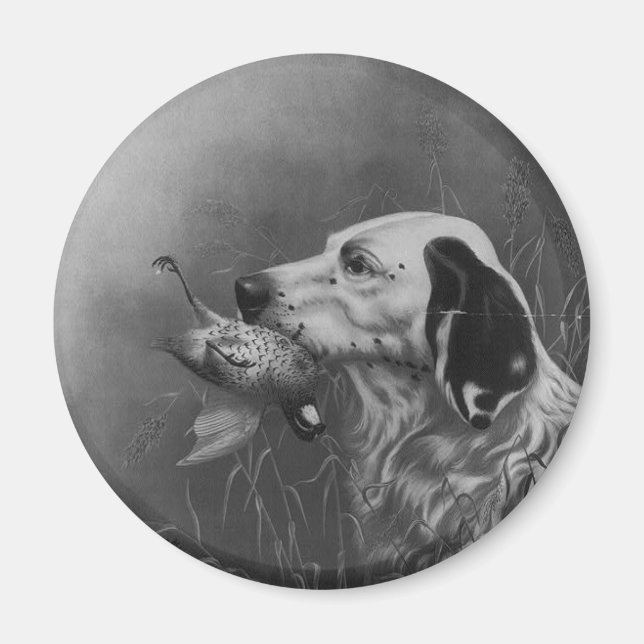 Paramètres avec un aimant de groupe (Devant)