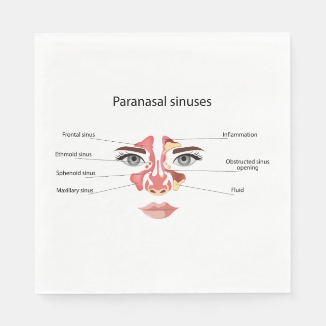 Paranasal sinuses  napkin (Front)