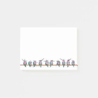 Paranoid Hummingbirds notes