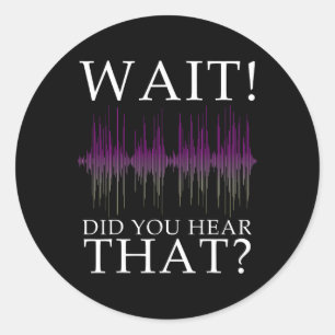 Paranormal Investigator Funny Ghost Hunting 1  Classic Round Sticker