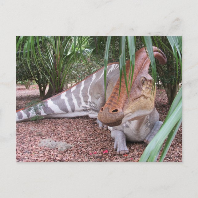 Parasaurolophus - Dinosaur - Learning Card (Front)