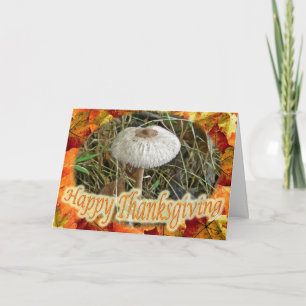 Parasol Mushroom Happy Thanksgiving Card