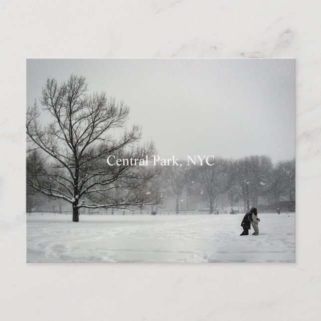 Parc central, Carte postale (Devant)