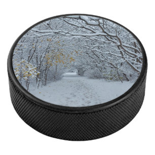 Parc couvert de neige