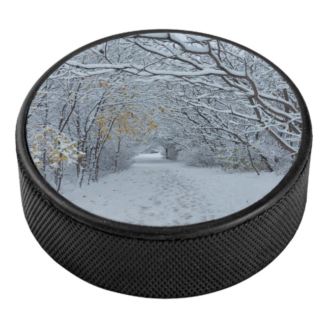 Parc couvert de neige (3/4/2016 12:00:00 AM)