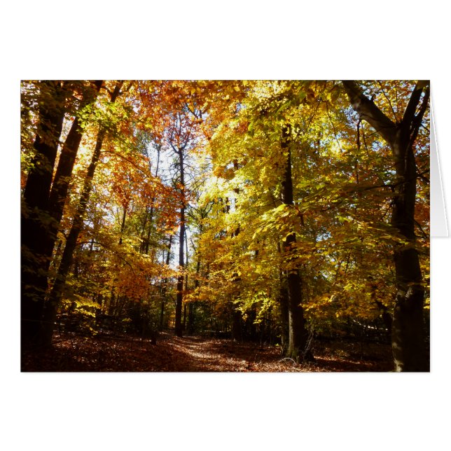 Parc de Greenbelt à l'automne II Maryland Nature S (Devant horizontal)
